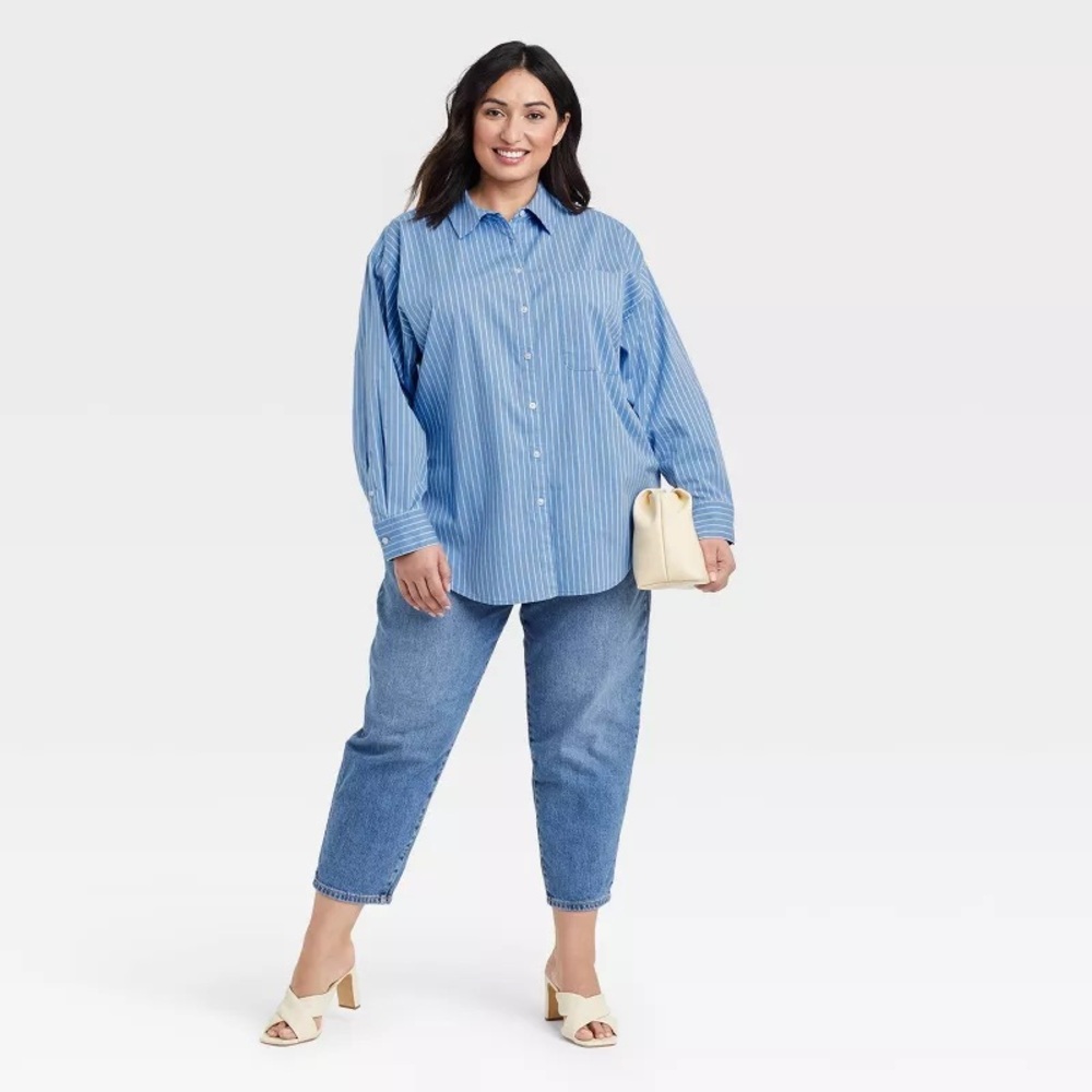 Target A New Day Blue Striped Button Down